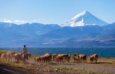 shutterstock_125021651