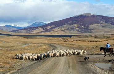 shutterstock_47007448