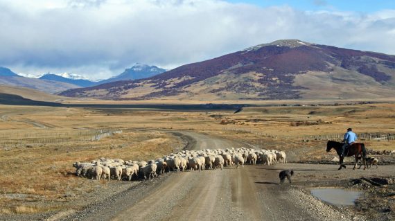 shutterstock_47007448