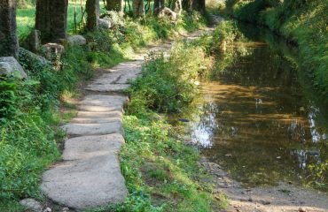 shutterstock_748253728