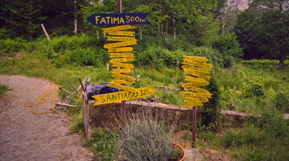 shutterstock_795815722