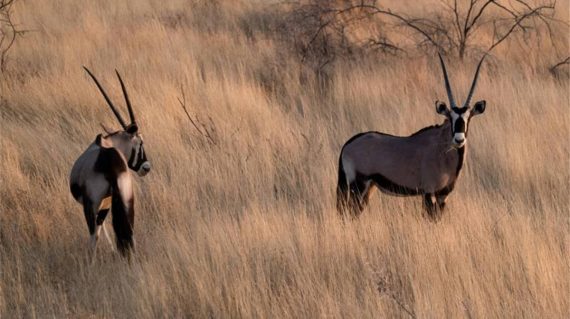 4497357d-48e1-4791-aa6d-add88b62569f