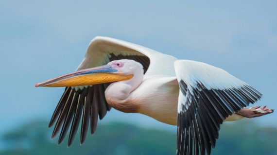 alex-ning-lBV4pZOOUO0-unsplash