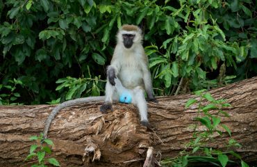 dmitrii-zhodzishskii-25szXdg5DZs-unsplash