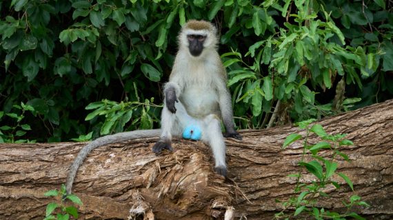 dmitrii-zhodzishskii-25szXdg5DZs-unsplash