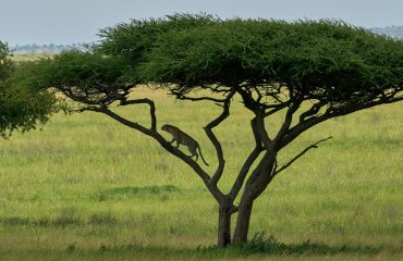 dmitrii-zhodzishskii-8XuOyTucsaI-unsplash