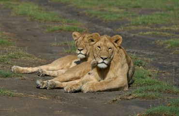 dmitrii-zhodzishskii-C5Fz-RO3oXY-unsplash