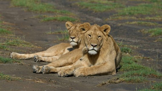 dmitrii-zhodzishskii-C5Fz-RO3oXY-unsplash