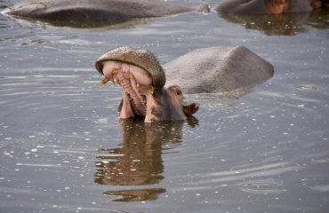 dmitrii-zhodzishskii-oG43CQpawH0-unsplash