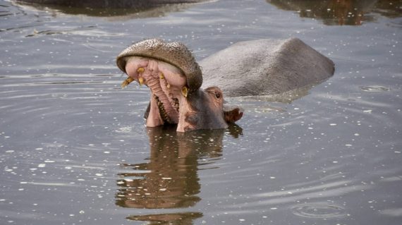 dmitrii-zhodzishskii-oG43CQpawH0-unsplash