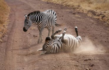 dmitrii-zhodzishskii-u_cgPabd4Cg-unsplash