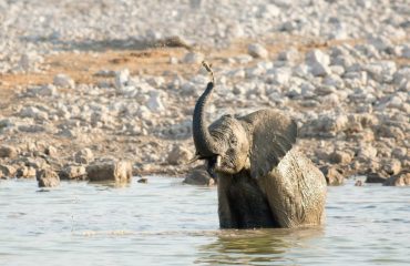 getty-images-lrJc6otmgGE-unsplash