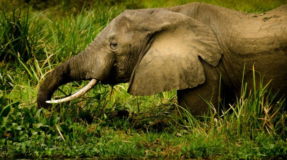 jeff-ackley-ku5o6KyAS-Q-unsplash