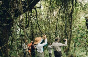 random-institute-i9JH0hyFEgk-unsplash