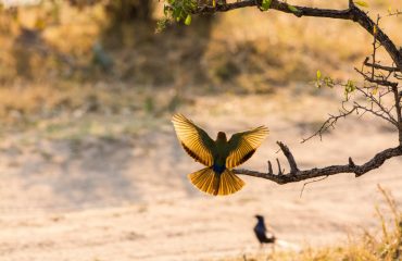 shutterstock_1089505454