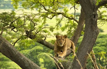 shutterstock_131789588