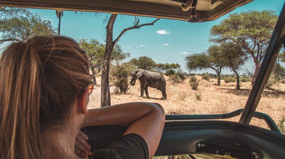 shutterstock_1766882177