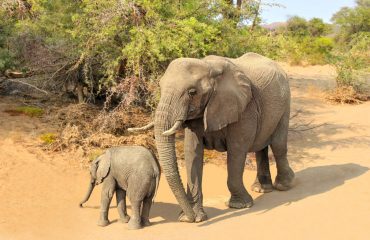 shutterstock_1995273923