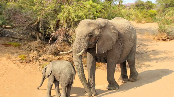 shutterstock_1995273923