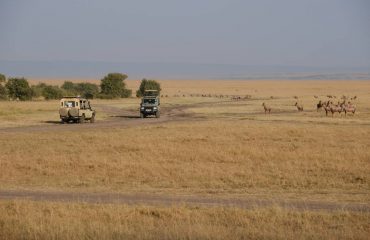 simone-dinoia-MOaALyttqzM-unsplash