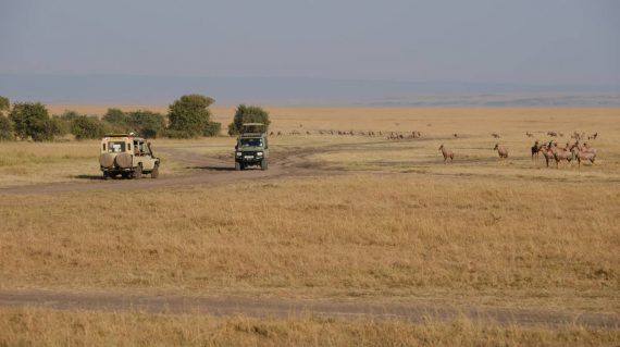 simone-dinoia-MOaALyttqzM-unsplash