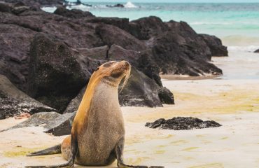 amy-perez-w55TgHidHoE-unsplash