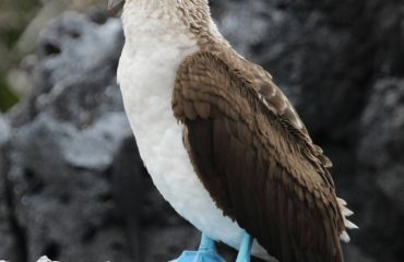 darius-wiles-ebNQuYLspNE-unsplash