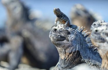 dylan-shaw-YwKaOAj_sNY-unsplash