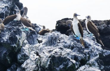 jenni-miska-Q4vp-nOpe2Y-unsplash