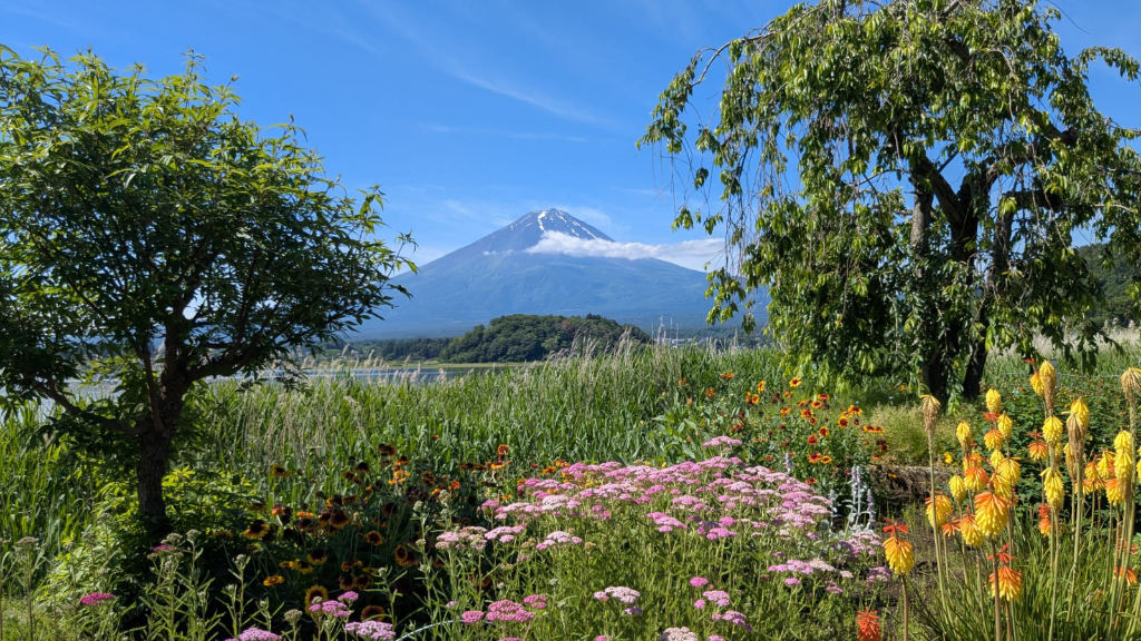 Reisebericht zur Rundreise durch Japan