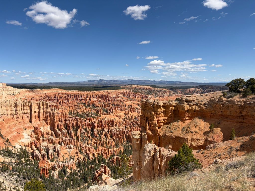 Zwei Wochen, rund 2.300 Kilometer und eine Landschaft, die sich fast täglich neu erfindet: Unsere Rundreise durch den Südwesten der USA führte uns von den Filmstudios Hollywoods über die Wüsten Kaliforniens und Arizonas bis zu den berühmten Nationalparks Utahs – und zum großen Finale nach Las Vegas. Hier die Highlights unserer kleinen Reisegruppe.