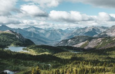 alex-gorey-LXsChQXNqWE-unsplash