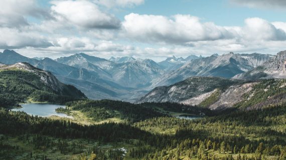 alex-gorey-LXsChQXNqWE-unsplash