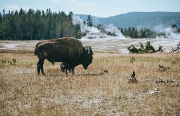 ivana-sluneckova-gQdCfaXw9yc-unsplash
