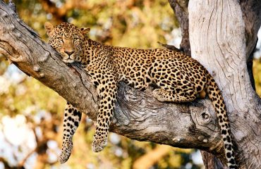 shutterstock_759805963_1400