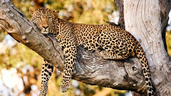 shutterstock_759805963_1400